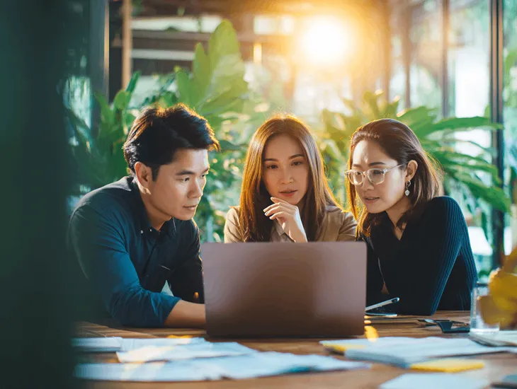 Indonesia tax reform 2026 – World Bank red flags, PT PMA audit risk, governance controls plan